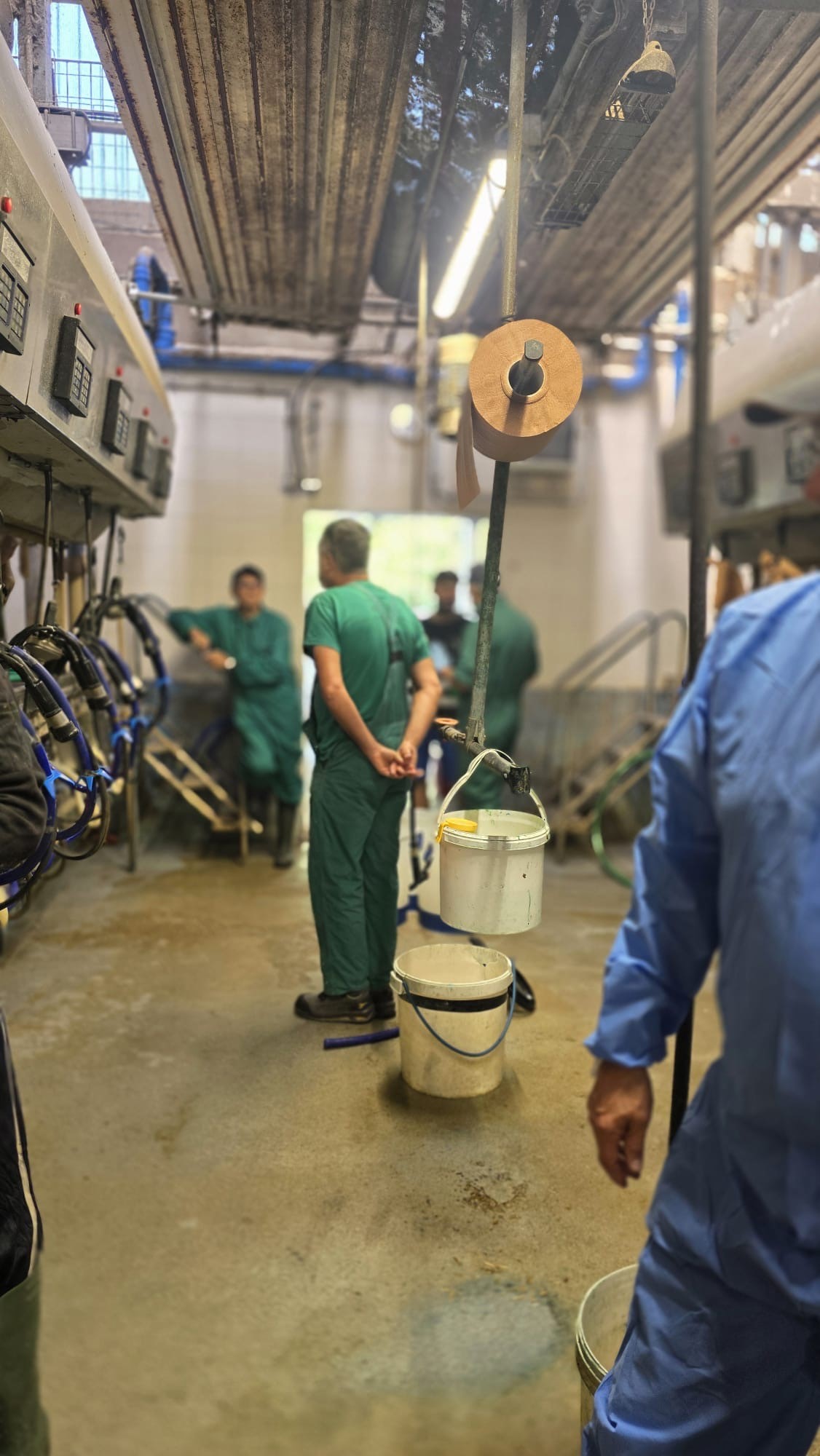 Sustainability and animal welfare at the heart of an Open Day in Lombardy (Italy)
